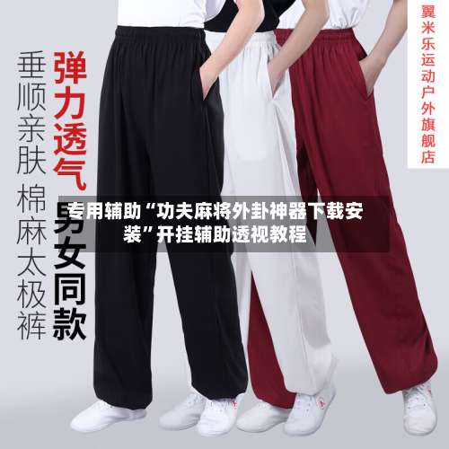 专用辅助“功夫麻将外卦神器下载安装”开挂辅助透视教程-第2张图片