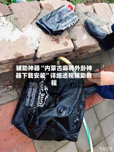 辅助神器“内蒙古麻将外卦神器下载安装	”详细透视辅助教程-第3张图片