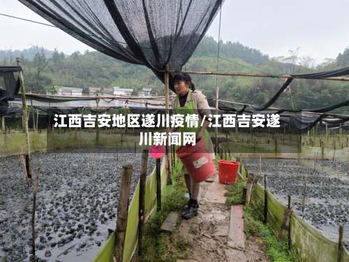 江西吉安地区遂川疫情/江西吉安遂川新闻网-第2张图片