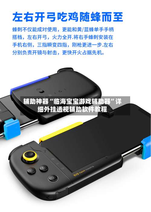 辅助神器“临海宝宝游戏辅助器	”详细外挂透视辅助软件教程-第1张图片