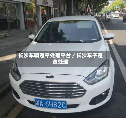 长沙车辆违章处理平台／长沙车子违章处理-第3张图片