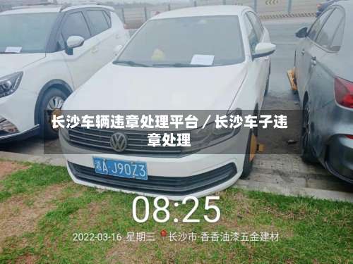 长沙车辆违章处理平台／长沙车子违章处理-第2张图片