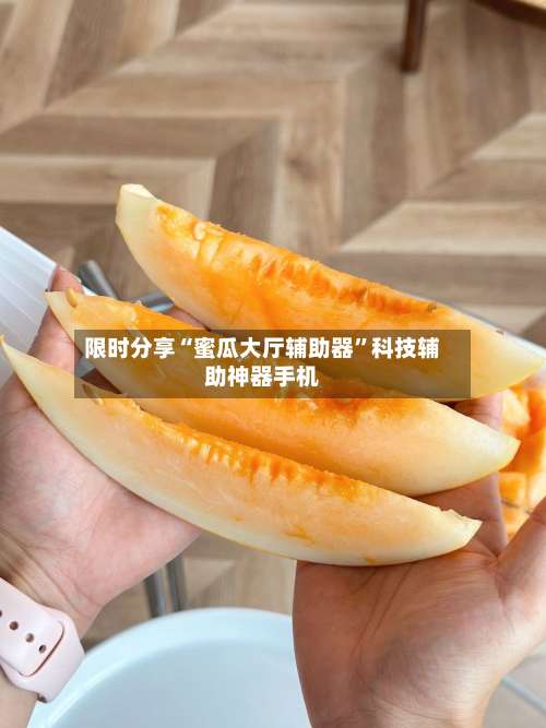 限时分享“蜜瓜大厅辅助器	”科技辅助神器手机-第2张图片