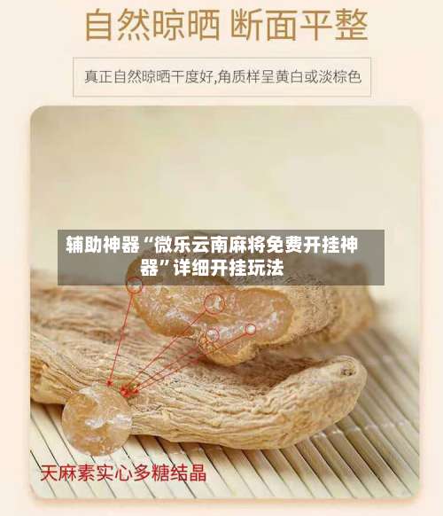 辅助神器“微乐云南麻将免费开挂神器	”详细开挂玩法-第1张图片