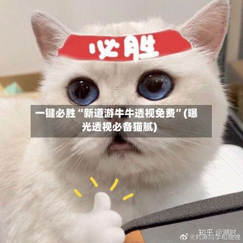 一键必胜“新道游牛牛透视免费	”(曝光透视必备猫腻)-第1张图片