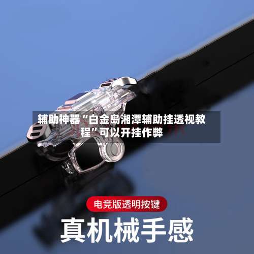 辅助神器“白金岛湘潭辅助挂透视教程	”可以开挂作弊-第3张图片