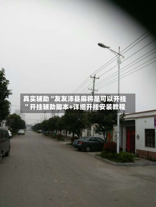 真实辅助“友友沛县麻将是可以开挂”开挂辅助脚本+详细开挂安装教程-第2张图片