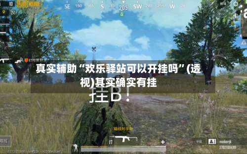 真实辅助“欢乐驿站可以开挂吗”(透视)其实确实有挂-第1张图片
