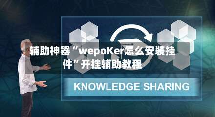 辅助神器“wepoKer怎么安装挂件”开挂辅助教程-第1张图片