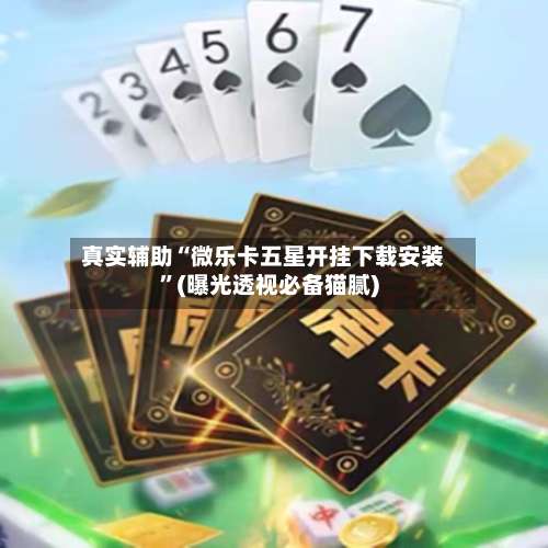 真实辅助“微乐卡五星开挂下载安装”(曝光透视必备猫腻)-第2张图片