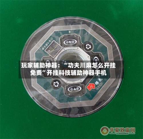 玩家辅助神器：“功夫川麻怎么开挂免费”开挂科技辅助神器手机-第3张图片