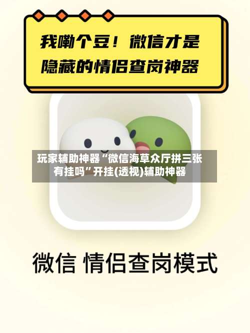 玩家辅助神器“微信海草众厅拼三张有挂吗”开挂(透视)辅助神器-第2张图片