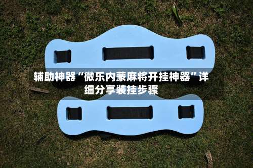 辅助神器“微乐内蒙麻将开挂神器	”详细分享装挂步骤-第2张图片