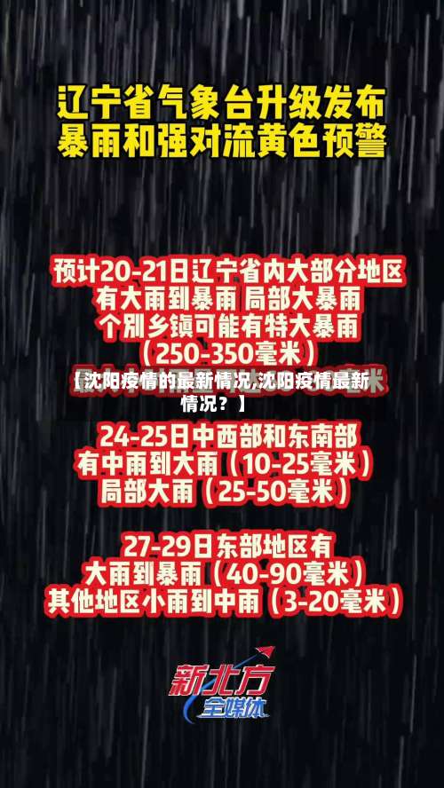【沈阳疫情的最新情况,沈阳疫情最新情况？】-第2张图片
