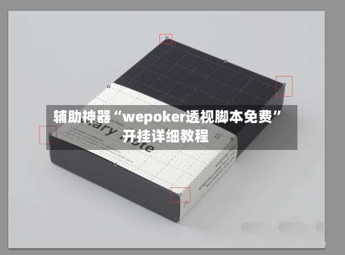 辅助神器“wepoker透视脚本免费”开挂详细教程-第3张图片