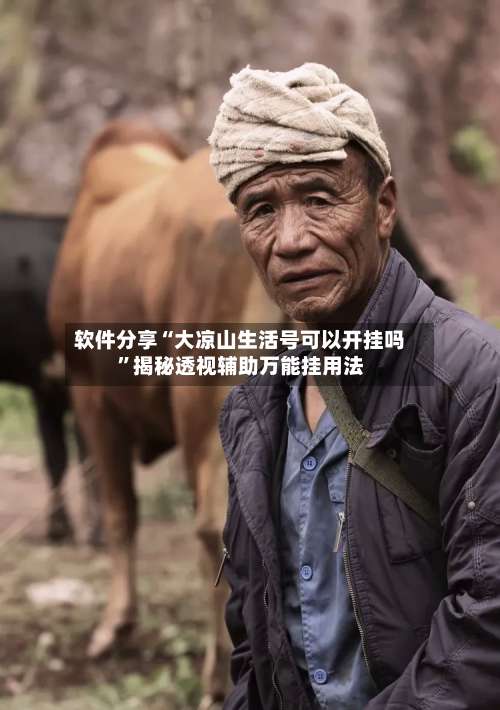 软件分享“大凉山生活号可以开挂吗”揭秘透视辅助万能挂用法-第3张图片