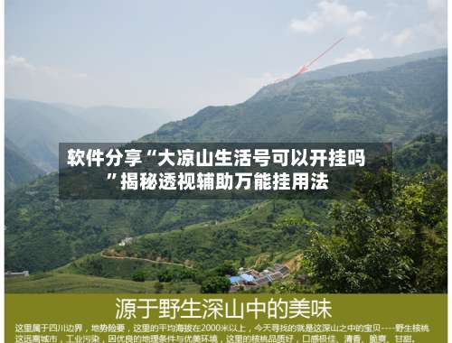 软件分享“大凉山生活号可以开挂吗	”揭秘透视辅助万能挂用法-第1张图片