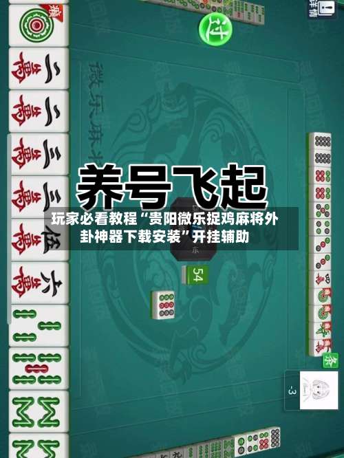 玩家必看教程“贵阳微乐捉鸡麻将外卦神器下载安装”开挂辅助-第3张图片