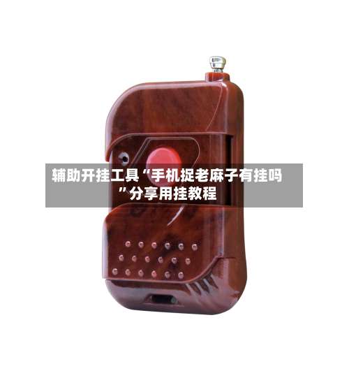 辅助开挂工具“手机捉老麻子有挂吗”分享用挂教程-第2张图片