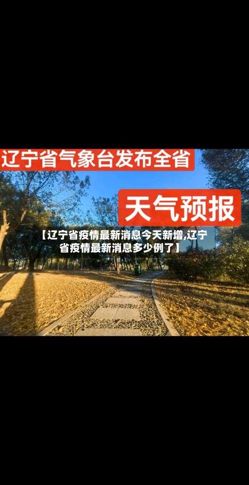 【辽宁省疫情最新消息今天新增,辽宁省疫情最新消息多少例了】-第1张图片