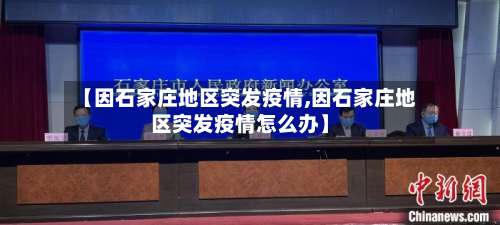 【因石家庄地区突发疫情,因石家庄地区突发疫情怎么办】-第2张图片