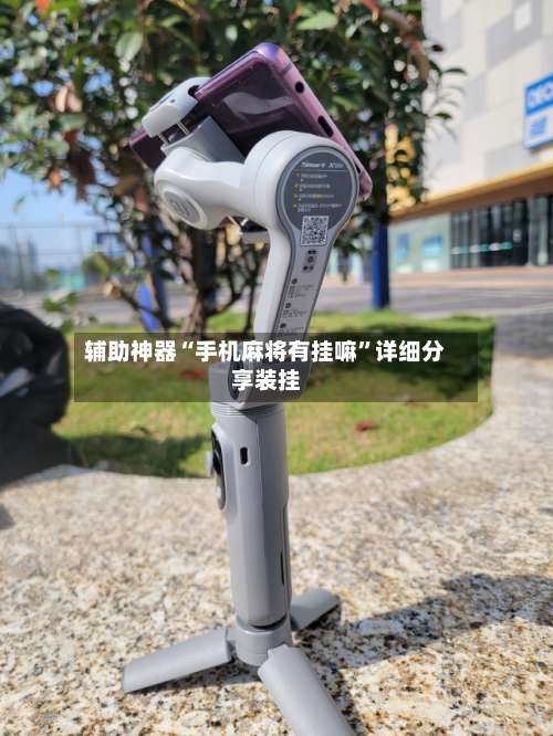 辅助神器“手机麻将有挂嘛	”详细分享装挂-第2张图片