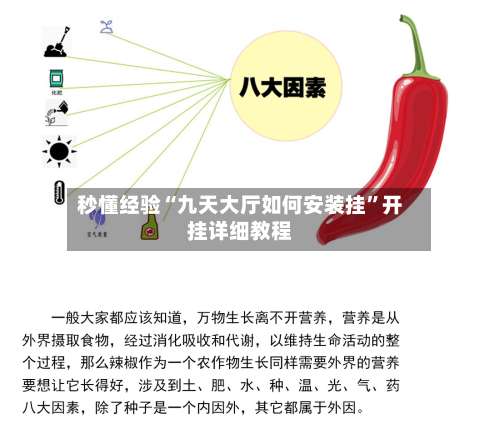 秒懂经验“九天大厅如何安装挂	”开挂详细教程-第2张图片