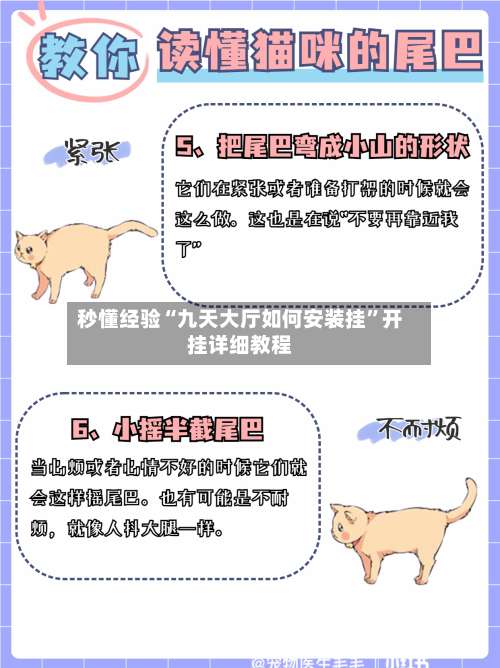 秒懂经验“九天大厅如何安装挂”开挂详细教程-第1张图片