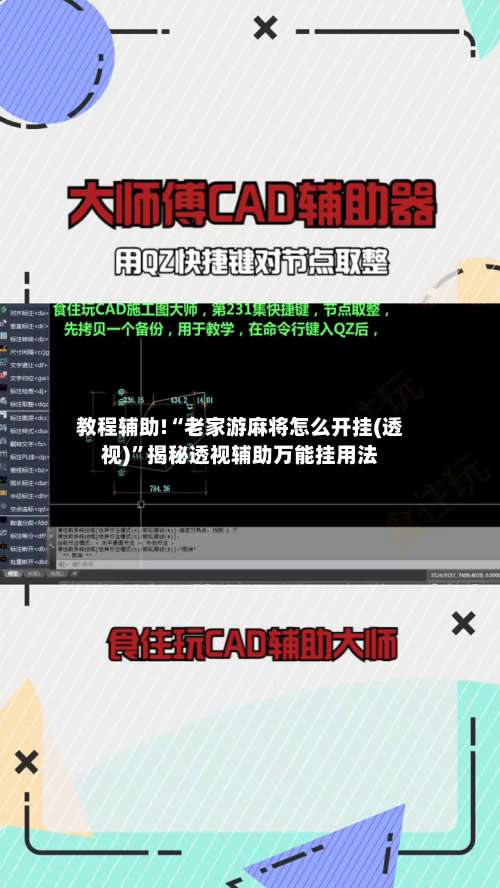 教程辅助!“老家游麻将怎么开挂(透视)”揭秘透视辅助万能挂用法-第1张图片