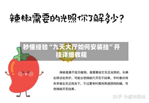 秒懂经验“九天大厅如何安装挂”开挂详细教程-第3张图片