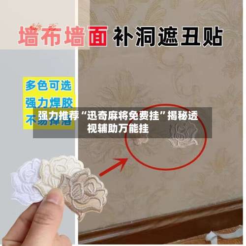 强力推荐“迅奇麻将免费挂”揭秘透视辅助万能挂-第1张图片