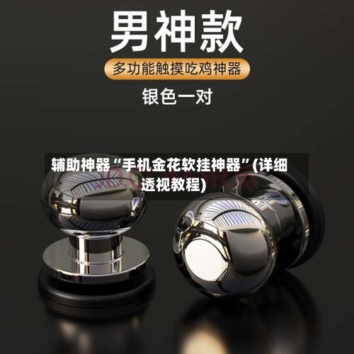 辅助神器“手机金花软挂神器”(详细透视教程)-第1张图片