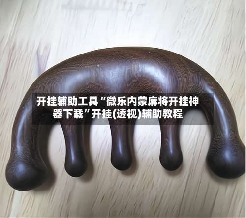 开挂辅助工具“微乐内蒙麻将开挂神器下载”开挂(透视)辅助教程-第2张图片