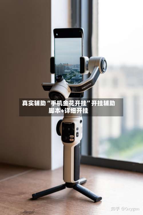 真实辅助“手机金花开挂”开挂辅助脚本+详细开挂-第3张图片