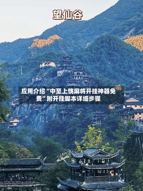 应用介绍“中至上饶麻将开挂神器免费”附开挂脚本详细步骤-第3张图片