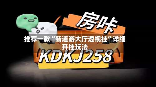 推荐一款“新道游大厅透视挂”详细开挂玩法-第2张图片