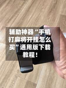 辅助神器“手机打麻将开挂怎么买”通用版下载教程！-第2张图片