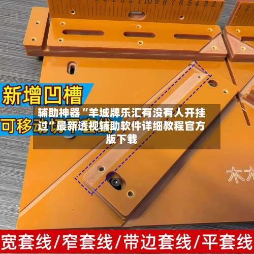 辅助神器“羊城牌乐汇有没有人开挂过	”最新透视辅助软件详细教程官方版下载-第1张图片