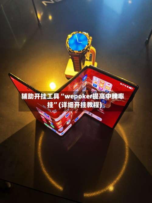 辅助开挂工具“wepoker提高中牌率挂	”(详细开挂教程)-第1张图片