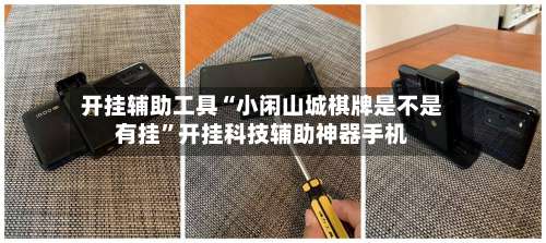 开挂辅助工具“小闲山城棋牌是不是有挂”开挂科技辅助神器手机-第3张图片