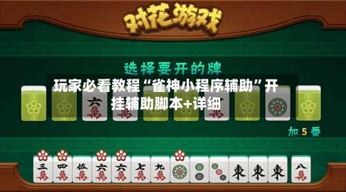 玩家必看教程“雀神小程序辅助”开挂辅助脚本+详细-第1张图片