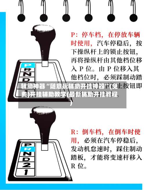 辅助神器“随意玩辅助开挂神器	”(免费)开挂辅助教学(最新辅助开挂教程)-第1张图片