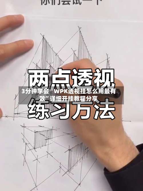 3分钟学会“WPK透视挂怎么用最有效”详细开挂教程分享-第3张图片