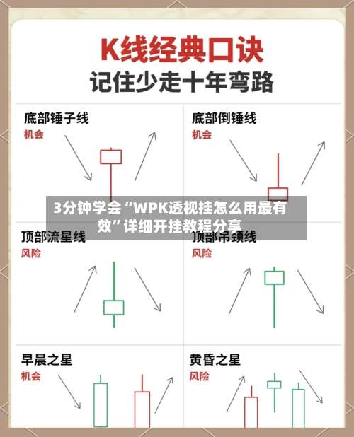 3分钟学会“WPK透视挂怎么用最有效	”详细开挂教程分享-第1张图片