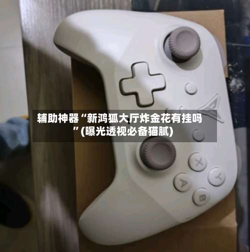 辅助神器“新鸿狐大厅炸金花有挂吗”(曝光透视必备猫腻)-第3张图片