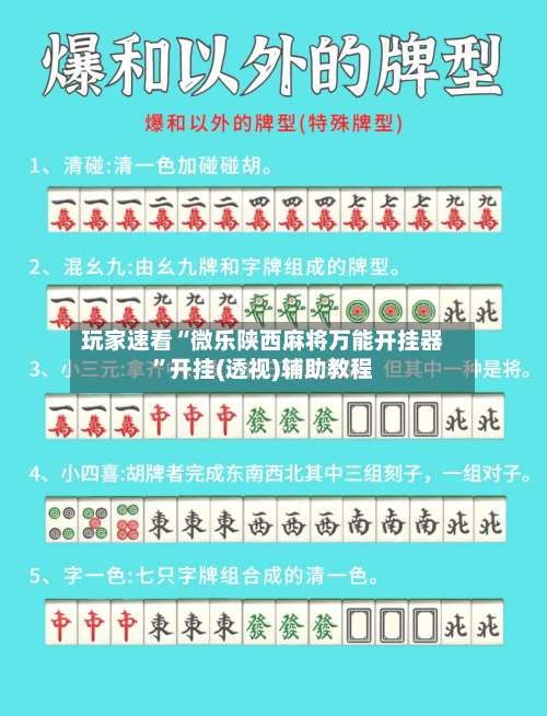 玩家速看“微乐陕西麻将万能开挂器”开挂(透视)辅助教程-第3张图片