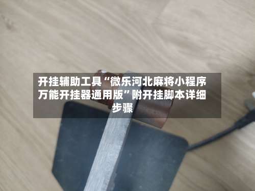 开挂辅助工具“微乐河北麻将小程序万能开挂器通用版	”附开挂脚本详细步骤-第2张图片