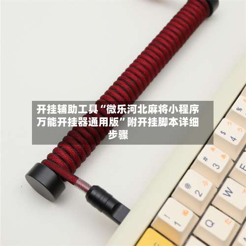 开挂辅助工具“微乐河北麻将小程序万能开挂器通用版”附开挂脚本详细步骤-第1张图片