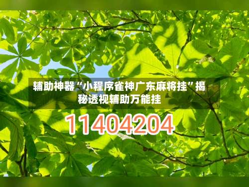 辅助神器“小程序雀神广东麻将挂”揭秘透视辅助万能挂-第1张图片