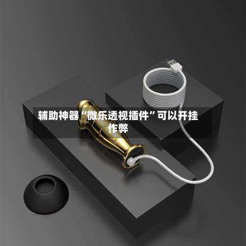 辅助神器“微乐透视插件	”可以开挂作弊-第1张图片